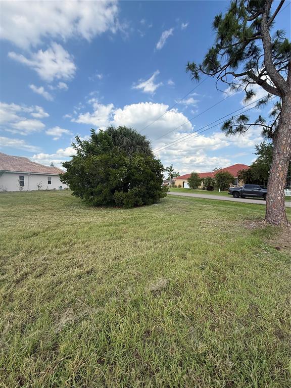 A grassy lot features a large central shrub and a pine tree under a blue sky — 1295 TIDY LANE, PUNTA GORDA, FL