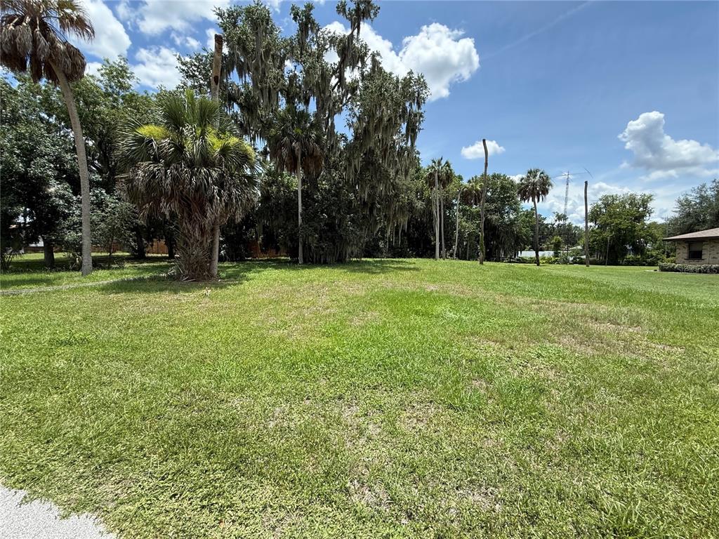A grassy, vacant lot features several palm trees and large oaks under a blue sky — 0 LAKE PIERCE DRIVE, LAKE WALES, FL
