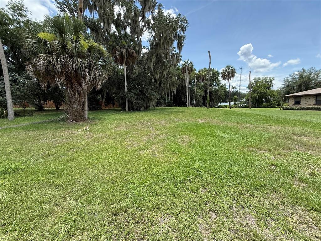 A grassy, open lot features several palm trees and mature trees under a blue sky — 0 LAKE PIERCE DRIVE, LAKE WALES, FL