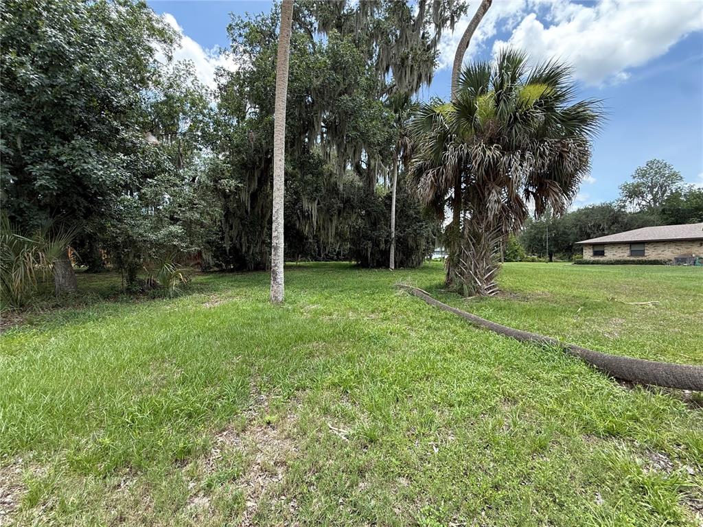 A grassy yard features a fallen palm trunk, mature trees with Spanish moss, and a house — 0 LAKE PIERCE DRIVE, LAKE WALES, FL