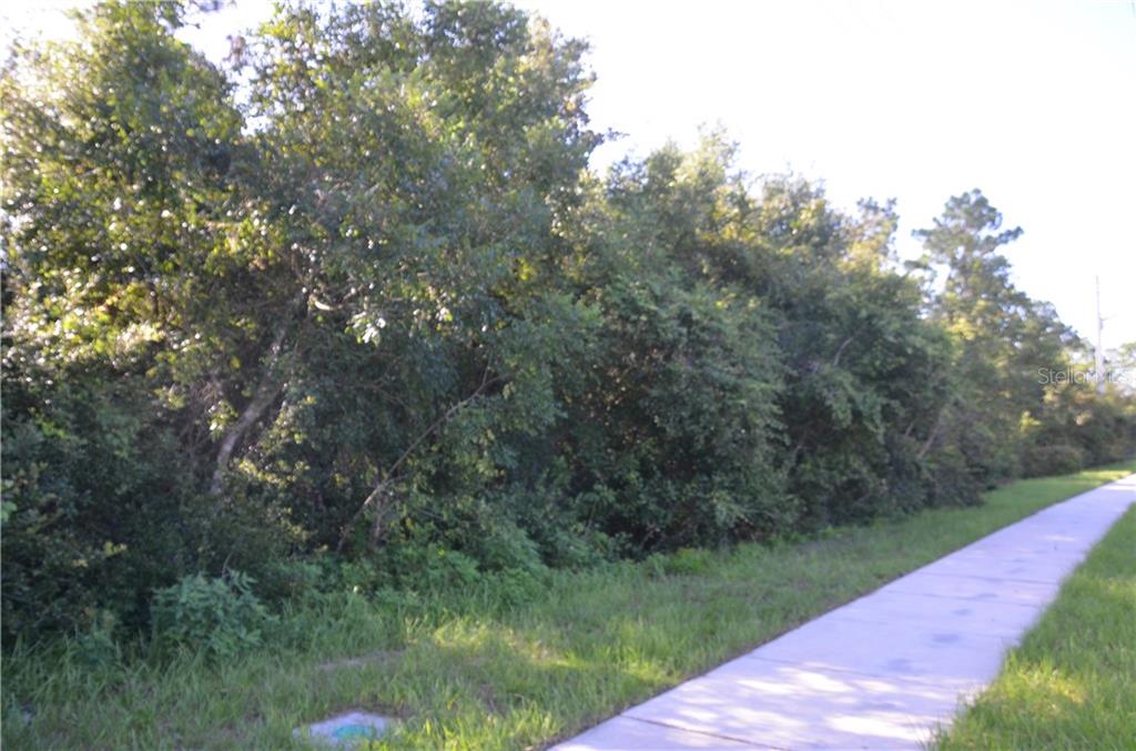 HOWLAND BLVD, DELTONA, FL — photo 2 of 7