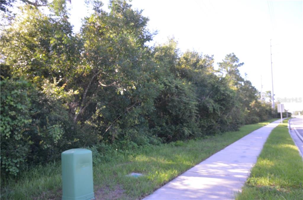 HOWLAND BLVD, DELTONA, FL — photo 4 of 7
