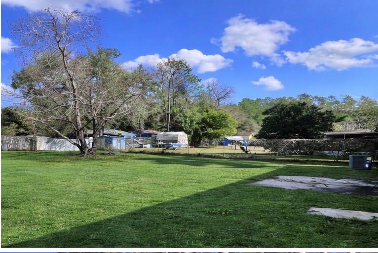 A large, grassy backyard features a prominent bare tree and a distant storage shed — 27319 DALE AVENUE, BROOKSVILLE, FL