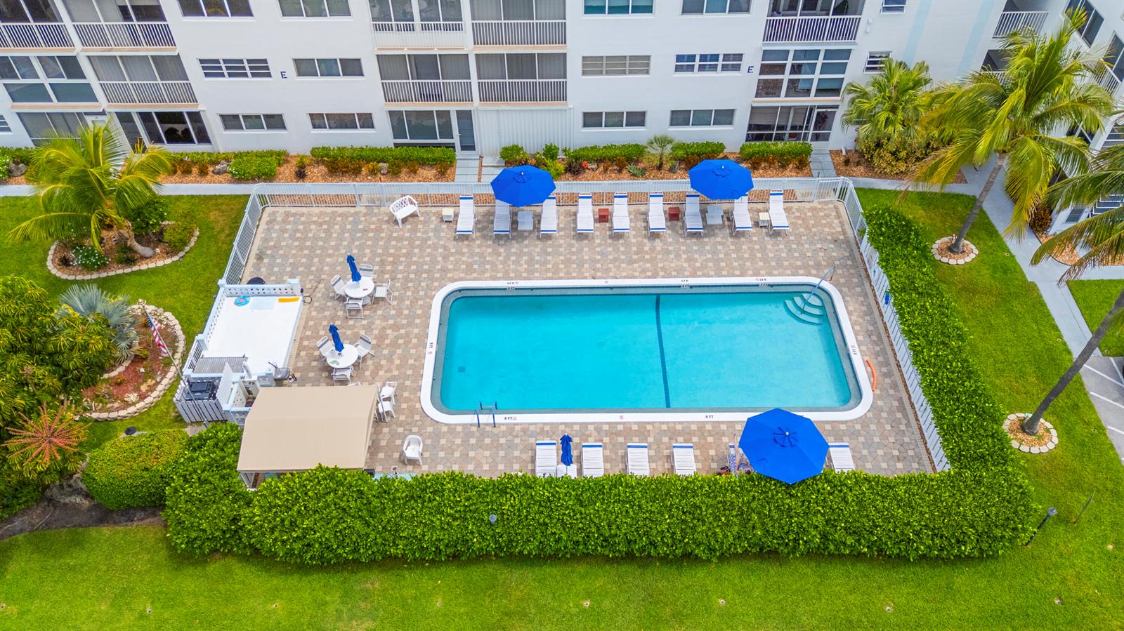 An aerial view of a rectangular swimming pool surrounded by lounge chairs and blue umbrellas — 3201 NE 8th Street # 206, Pompano Beach FL 33062, POMPANO BEACH, FL