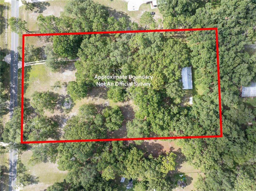 An aerial view shows a rectangular property boundary outlined in red over a wooded lot — 214 SW LEONARD TERRACE, LAKE CITY, FL