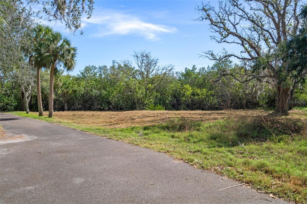 An asphalt road runs alongside a cleared, grassy lot bordered by trees and palms — IRWIN STREET, SAFETY HARBOR, FL
