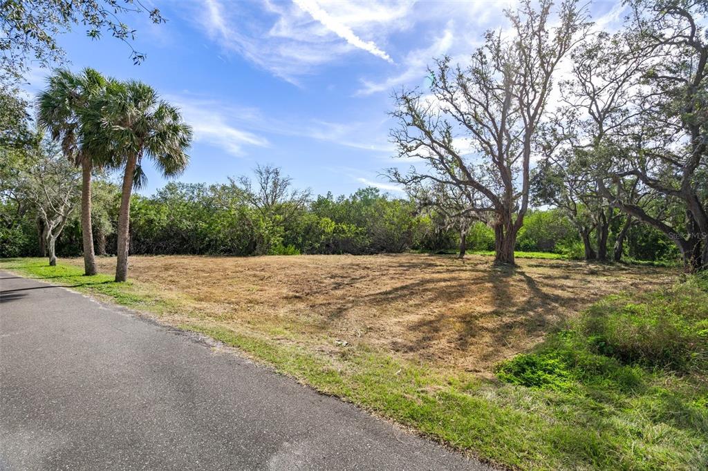 A vacant, grassy lot sits beside an asphalt road with palm and oak trees — IRWIN STREET, SAFETY HARBOR, FL