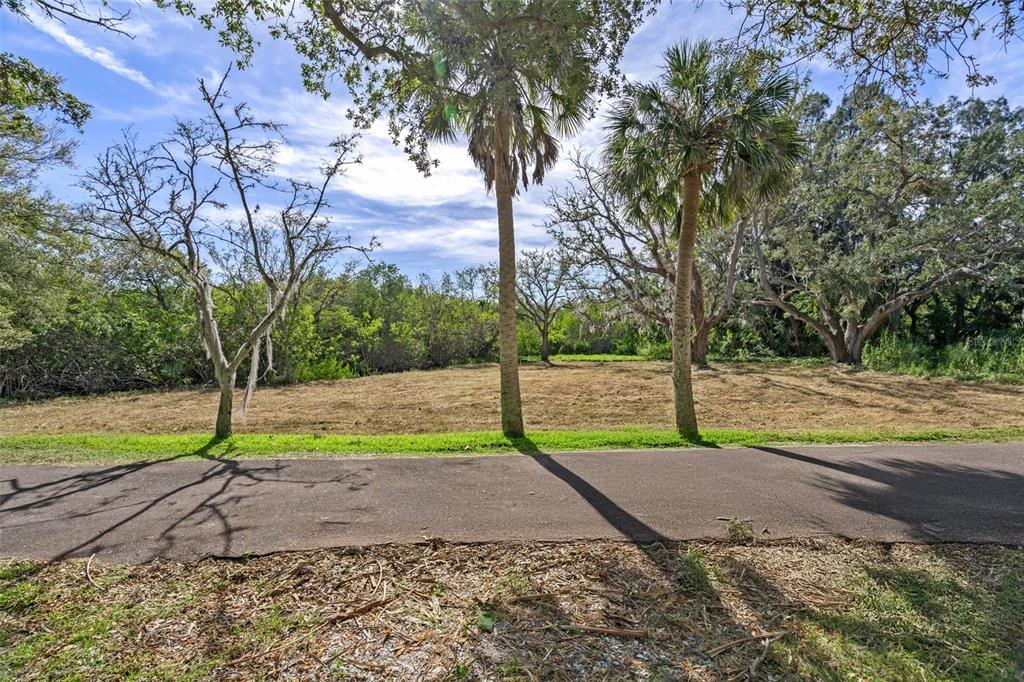 A paved path runs in front of a cleared, grassy lot with several mature trees — IRWIN STREET, SAFETY HARBOR, FL