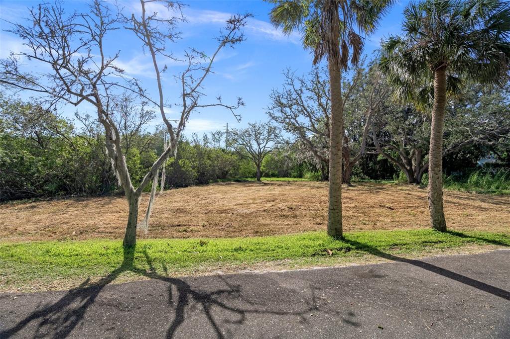 A cleared, grassy vacant lot features several mature trees under a bright blue sky — IRWIN STREET, SAFETY HARBOR, FL