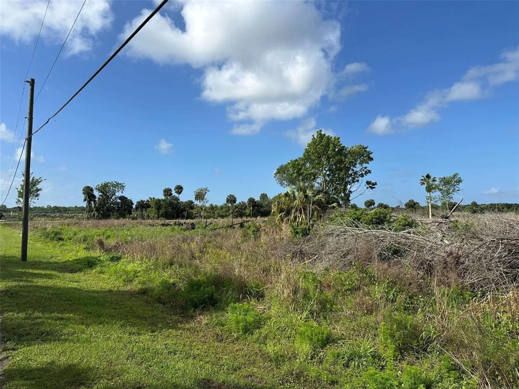 A grassy, overgrown lot features scattered trees and brush under a bright blue sky — HOWARD AVENUE, OVIEDO, FL