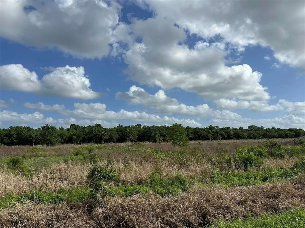 A wide, grassy field stretches toward a dense line of trees under a cloudy sky — HOWARD AVENUE, OVIEDO, FL