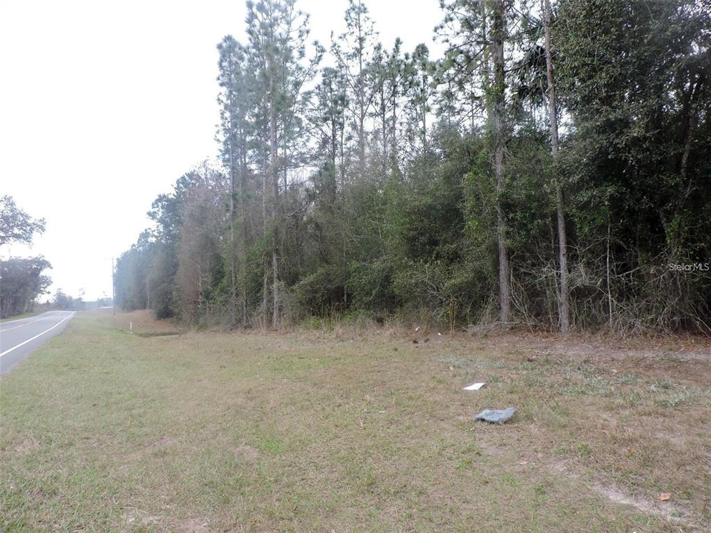 TBD N STATE ROAD 21, HAWTHORNE, FL — photo 4 of 7