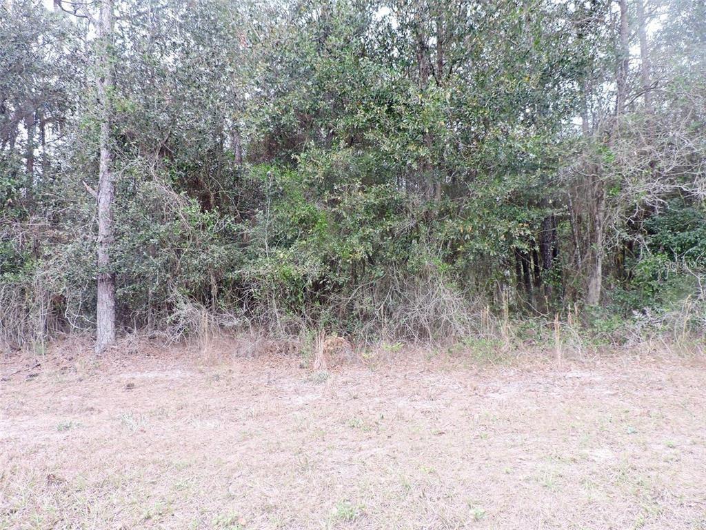 TBD N STATE ROAD 21, HAWTHORNE, FL — photo 5 of 7