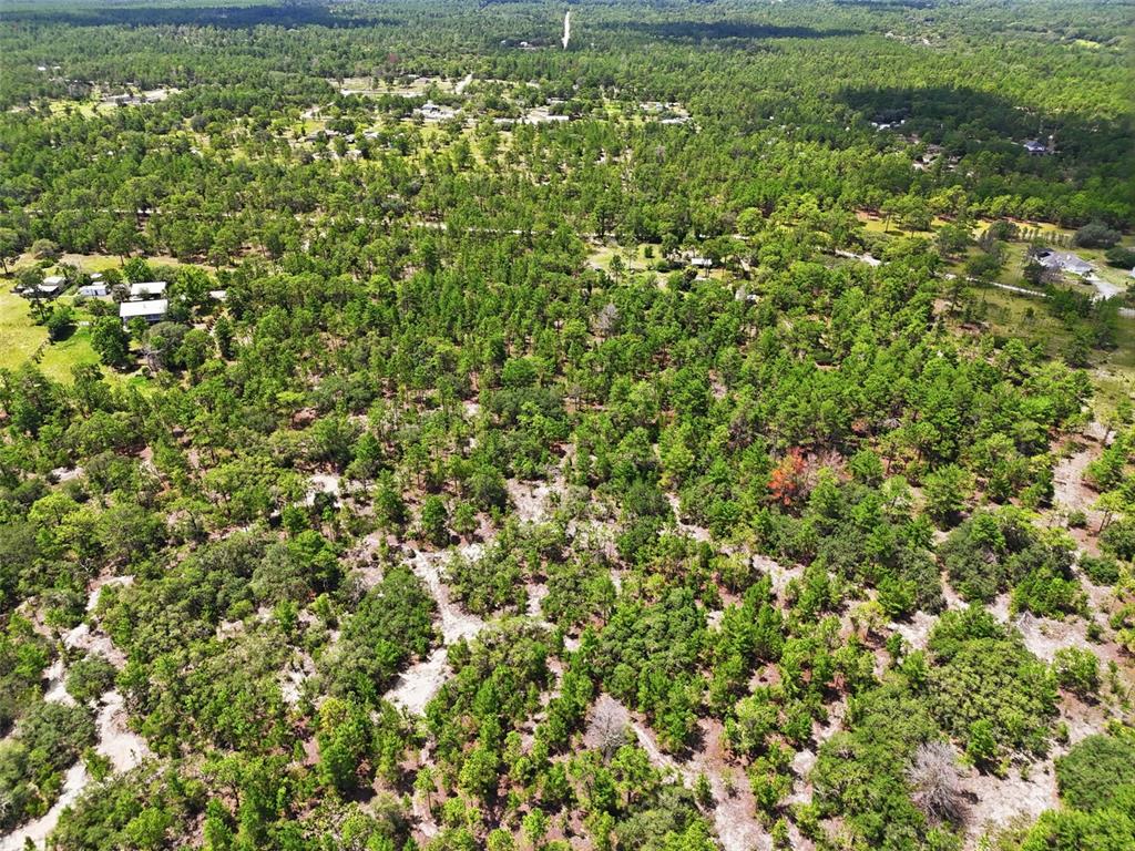 An aerial view shows a large, wooded lot with scattered houses in a rural area — 0 N MATSONFORD AVENUE, DUNNELLON, FL