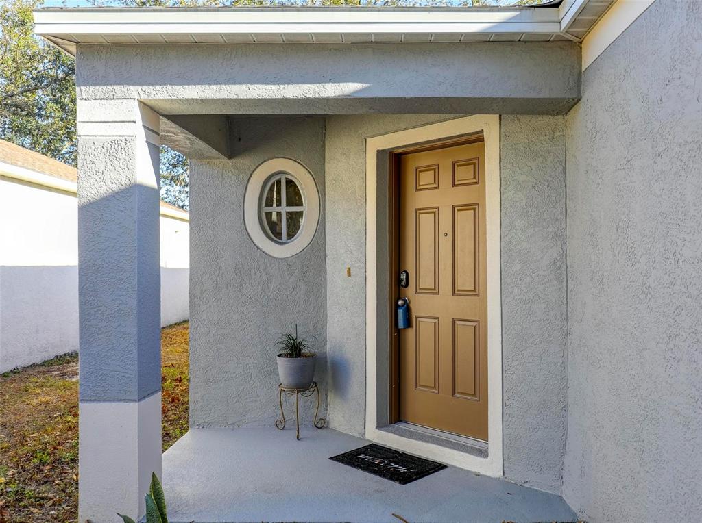 A front entryway features a brown door, an oval window, and a potted plant — 18105 LEMBRECHT WAY, TAMPA, FL