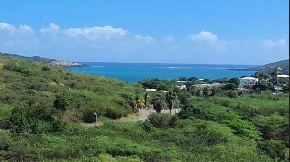 6 POSADA DEL CORONEL, CULEBRA, PR — photo 3 of 14