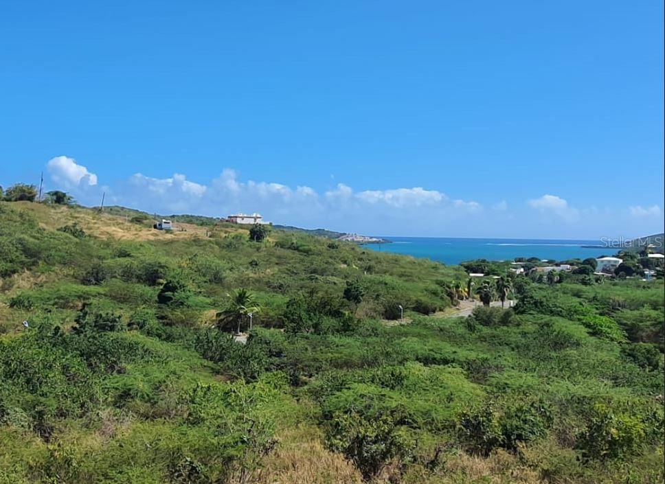 6 POSADA DEL CORONEL, CULEBRA, PR — photo 4 of 14