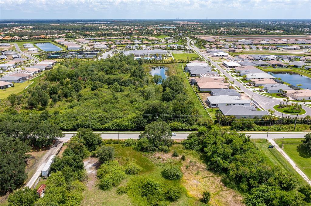 An aerial view shows a large, undeveloped wooded lot adjacent to a residential suburban neighborhood — 10800 BILL TUCKER ROAD, WIMAUMA, FL
