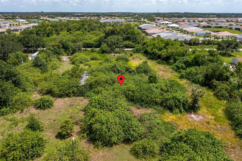 An aerial view shows a vacant, heavily wooded lot marked with a red location pin — 10800 BILL TUCKER ROAD, WIMAUMA, FL