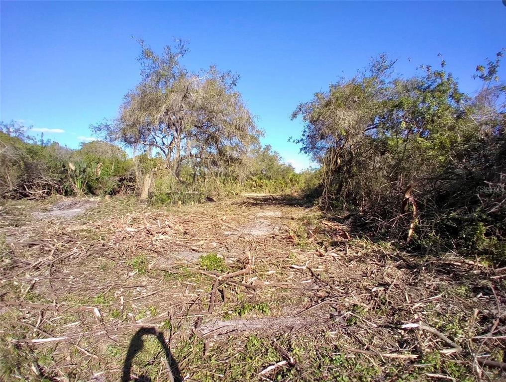 A cleared, wooded lot with scattered brush and trees under a clear blue sky — 4193 CHIPPEWA STREET, PORT CHARLOTTE, FL