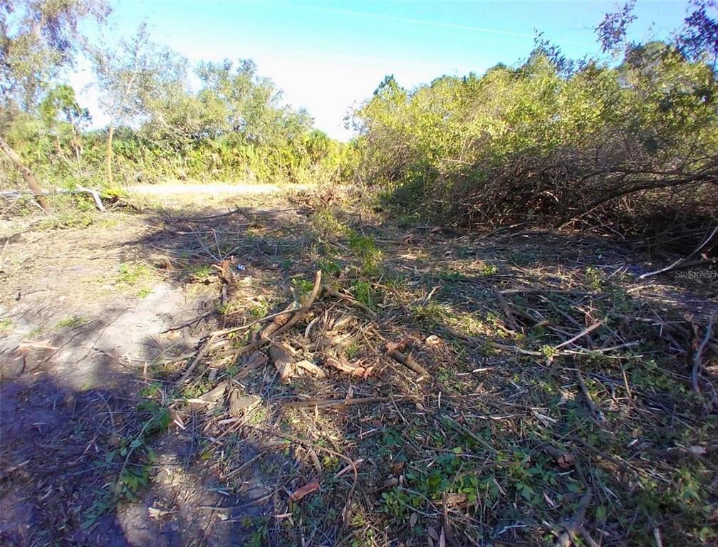 A cleared, wooded lot with scattered brush and trees under a clear blue sky — 4193 CHIPPEWA STREET, PORT CHARLOTTE, FL