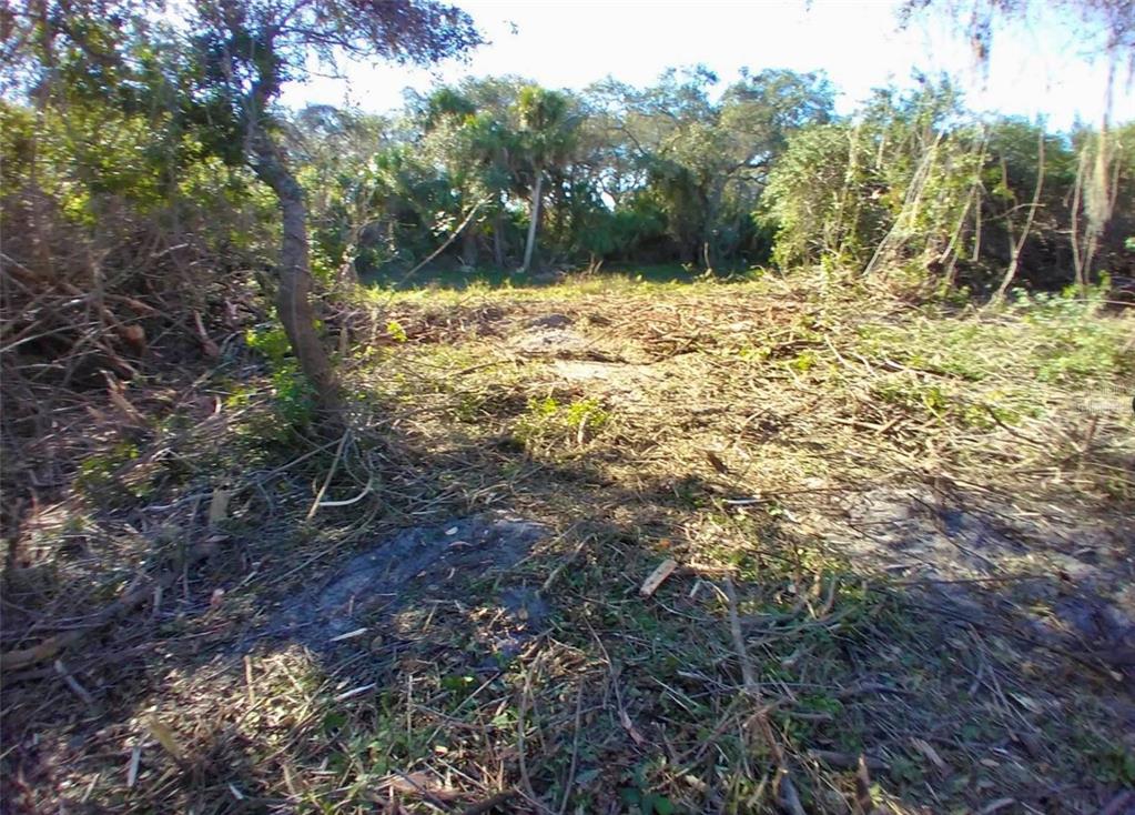 A cleared, wooded lot features scattered brush and debris under a canopy of trees — 4193 CHIPPEWA STREET, PORT CHARLOTTE, FL