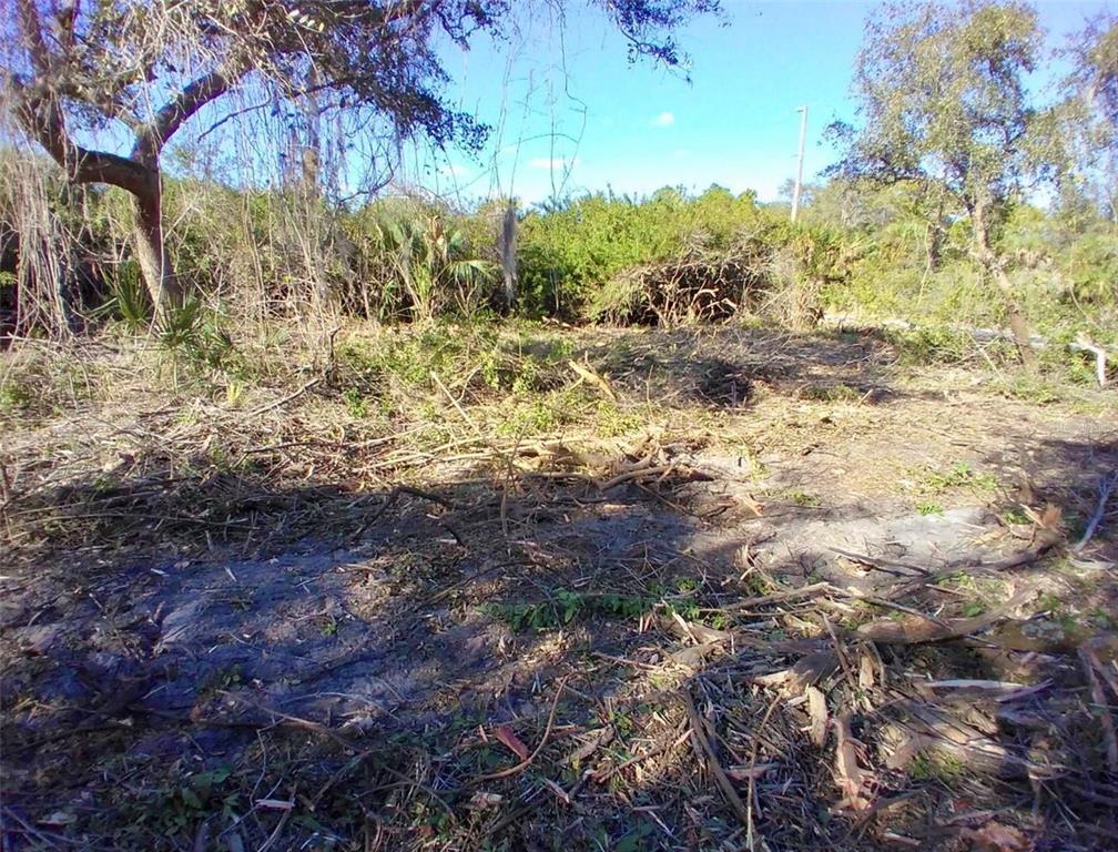 A cleared, wooded lot with scattered brush and trees under a bright blue sky — 4193 CHIPPEWA STREET, PORT CHARLOTTE, FL