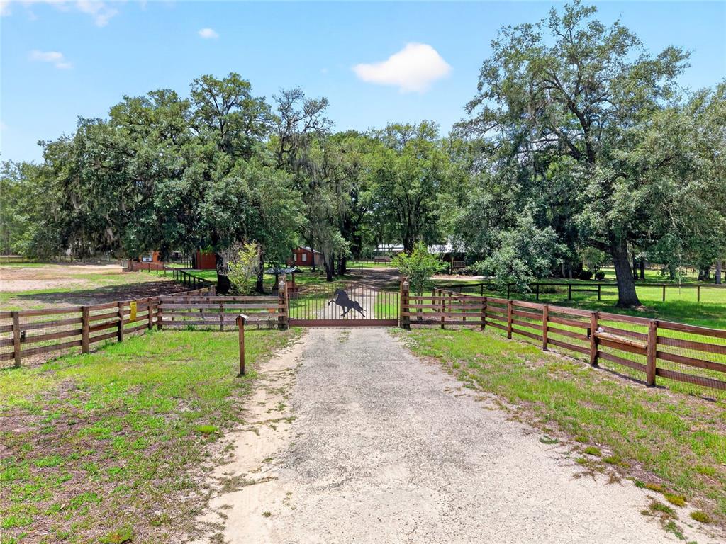 A gravel driveway leads to a gated entrance with a horse silhouette on a rural property — 11630 SE 78TH STREET, MORRISTON, FL