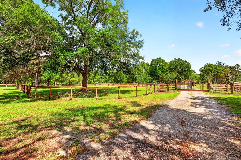 A gravel driveway leads to a gated entrance beside a fenced pasture with large trees — 11630 SE 78TH STREET, MORRISTON, FL