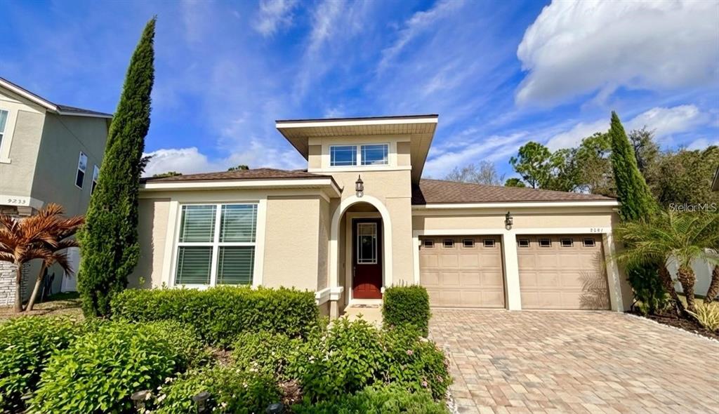 9241 PATRIMONIO LOOP