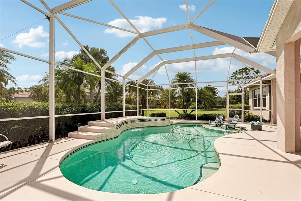 A screened-in swimming pool with a raised spa and steps sits on a concrete patio — 6615 BUTLERS CREST DRIVE, BRADENTON, FL