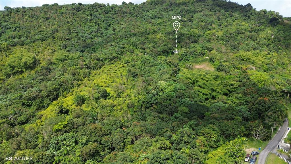 An aerial view shows a large, densely forested hillside with a small house nestled within — PR-181 km 11.0 CAYAGUAZ, SAN LORENZO, PR