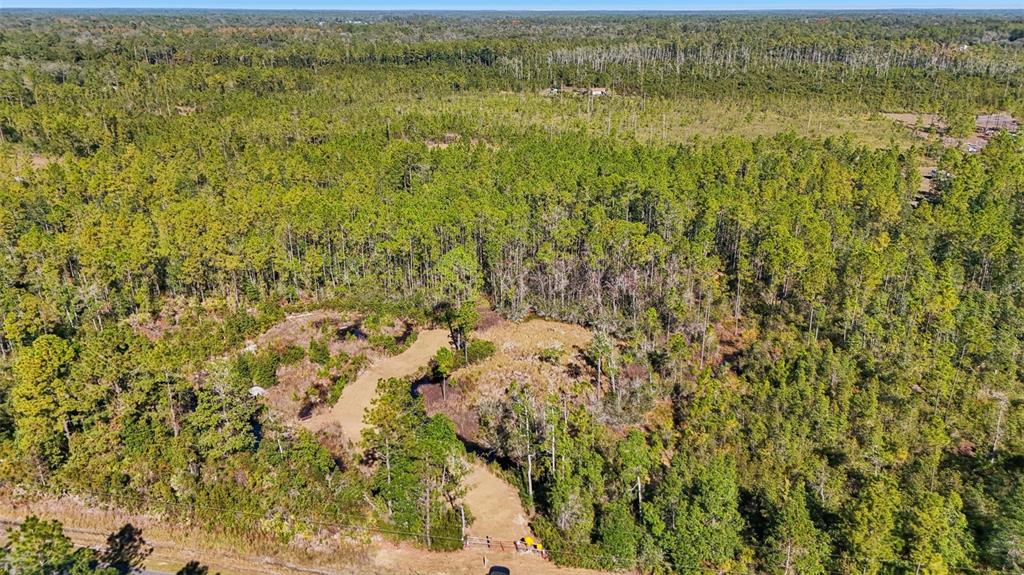 An aerial view shows a cleared dirt driveway leading into a wooded, undeveloped plot of land — NE 212TH STREET ROAD, FORT MC COY, FL