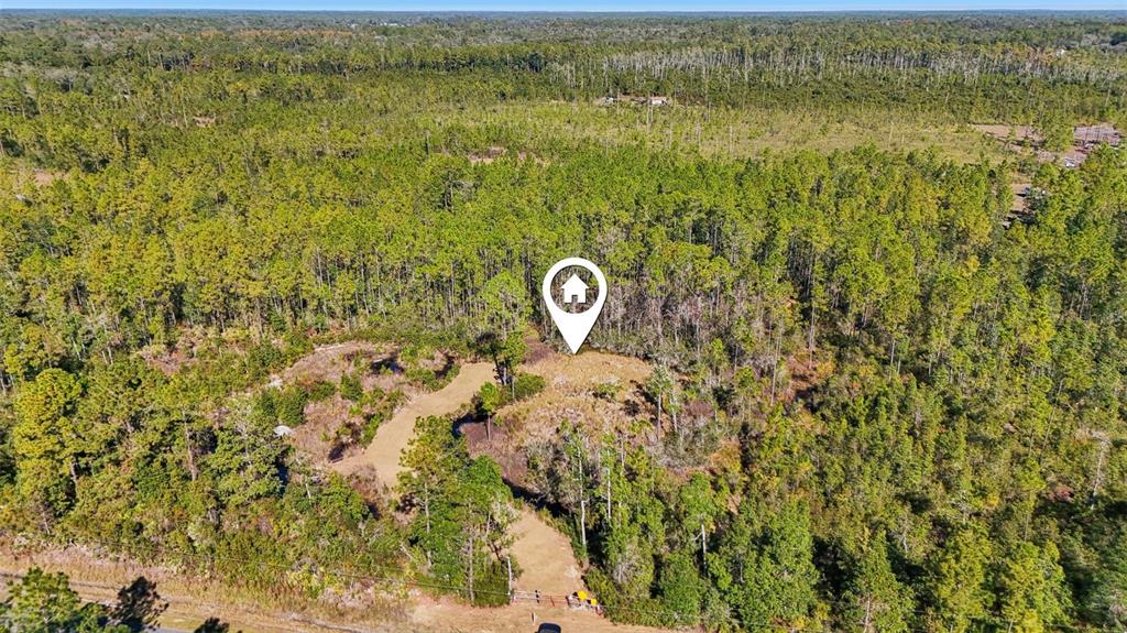 An aerial view shows a cleared lot surrounded by dense forest with a house icon — NE 212TH STREET ROAD, FORT MC COY, FL