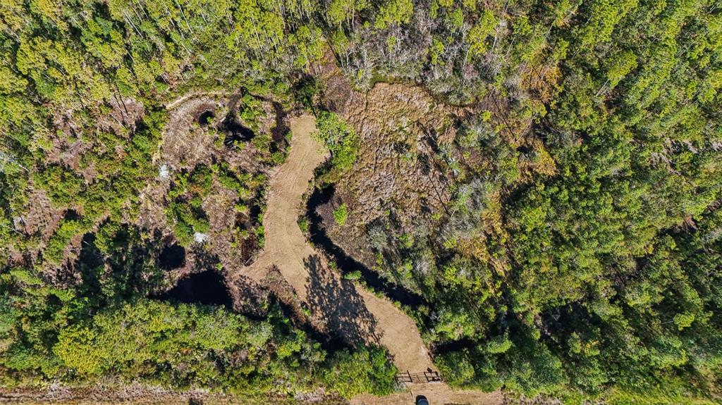 An aerial view shows a dirt path winding through a wooded area with dark ponds — NE 212TH STREET ROAD, FORT MC COY, FL
