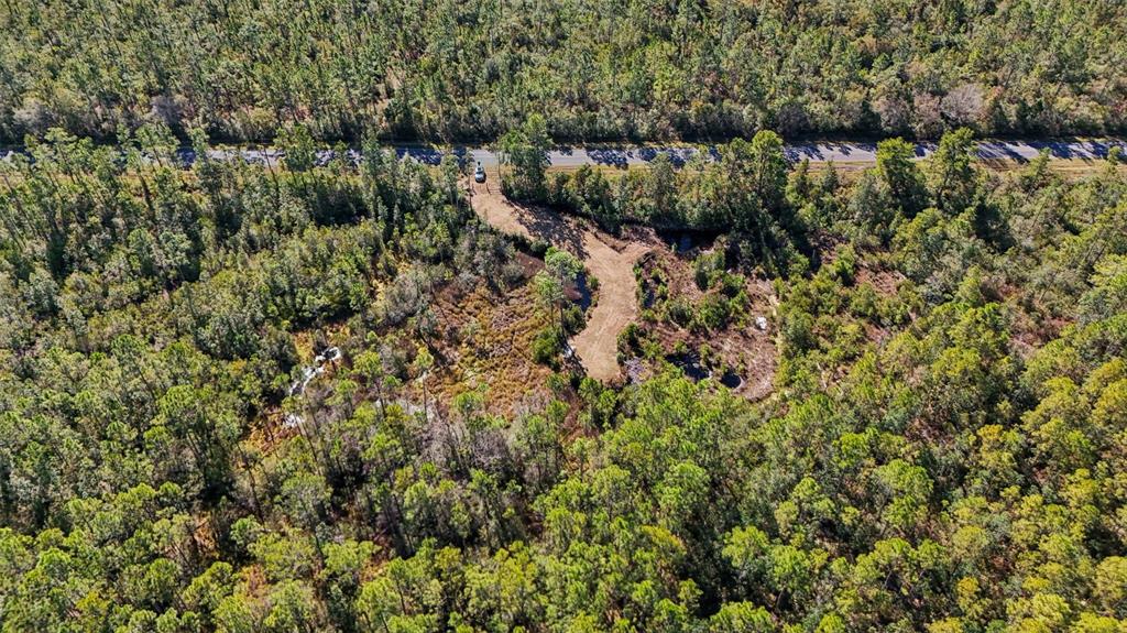 An aerial view shows a wooded lot with a cleared dirt driveway and road access — NE 212TH STREET ROAD, FORT MC COY, FL