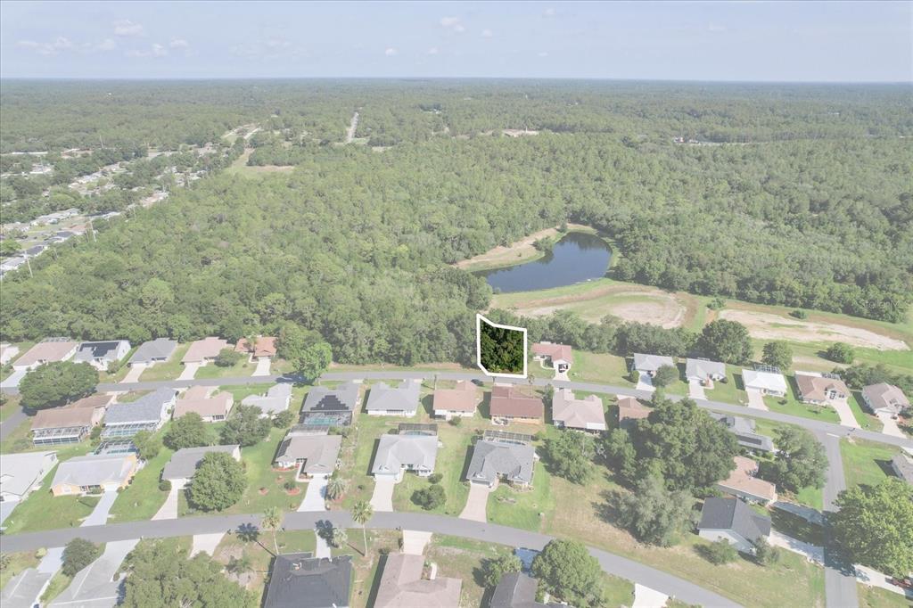 An aerial view shows a vacant, wooded residential lot outlined in white within a neighborhood — 905 W COLBERT COURT, BEVERLY HILLS, FL