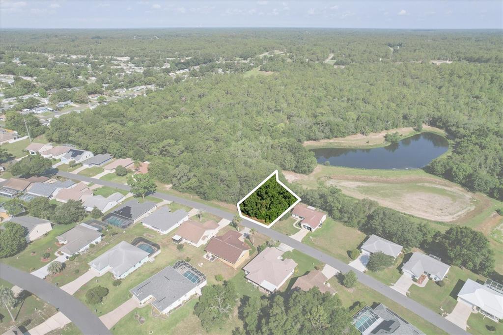 An aerial view shows a vacant, wooded residential lot outlined in white within a neighborhood — 905 W COLBERT COURT, BEVERLY HILLS, FL
