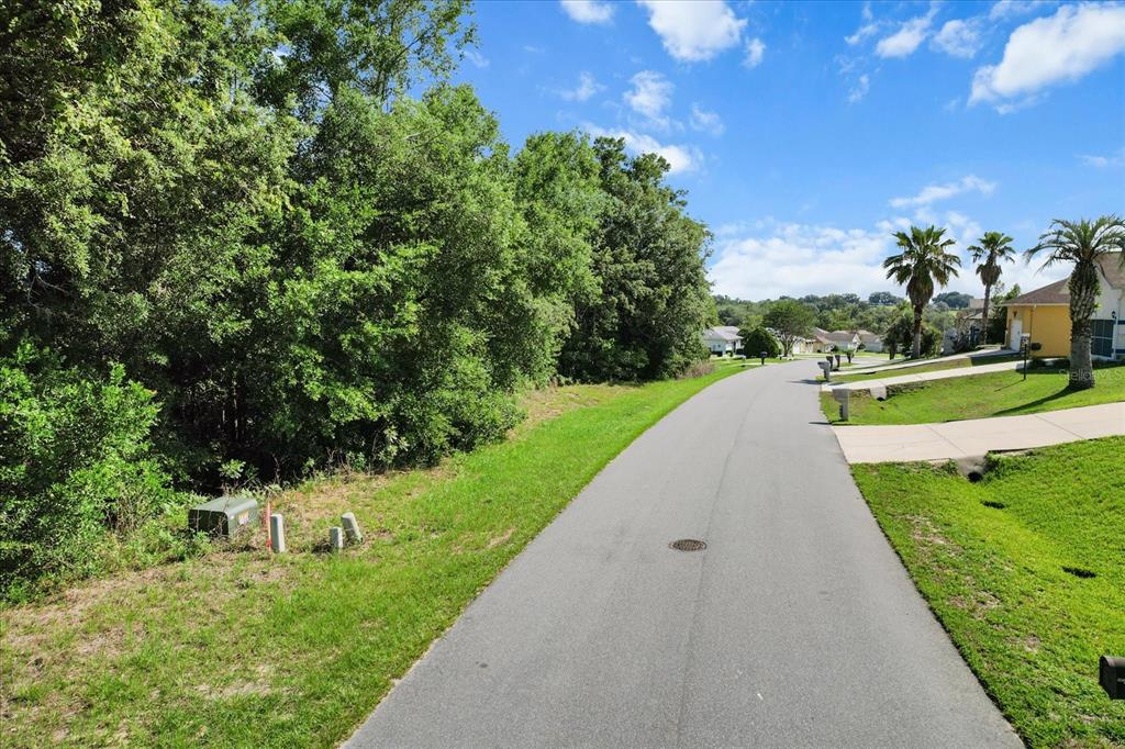 A paved residential street runs alongside a grassy area with trees and nearby houses — 905 W COLBERT COURT, BEVERLY HILLS, FL