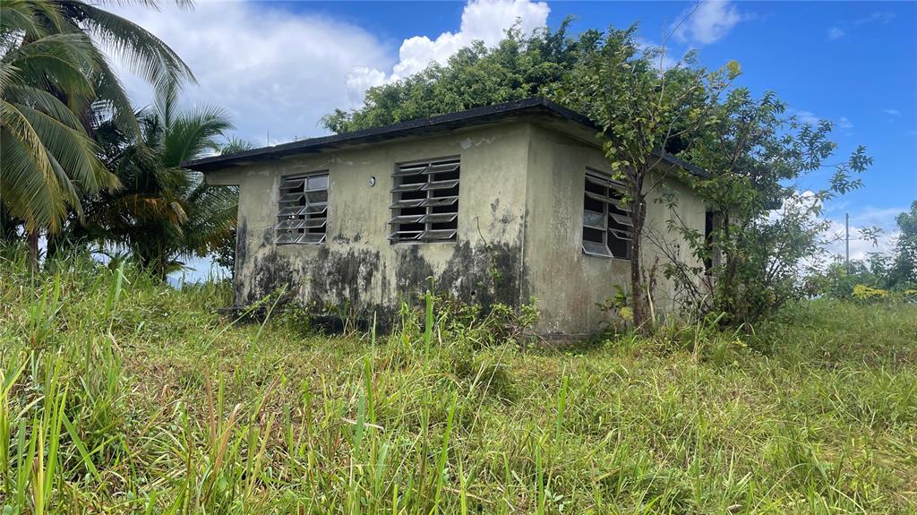 A weathered, single-story concrete house stands in a field of tall grass under a blue sky — 908 st BARRIO TEJAS, YABUCOA, PR