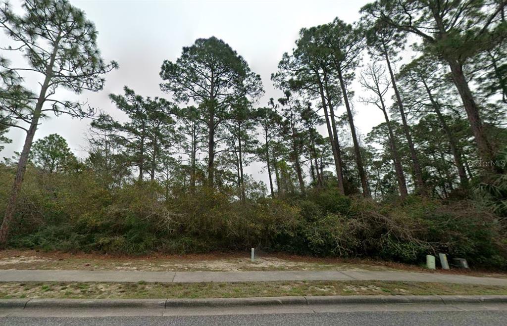A vacant, wooded lot sits behind a sidewalk and curb along a paved road — 126 LAUGHING GULL LANE, CARRABELLE, FL