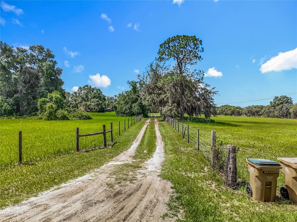 A dirt driveway leads through a grassy field lined with wire fencing and large trees — 41204 EMERALDA ISLAND ROAD, LEESBURG, FL