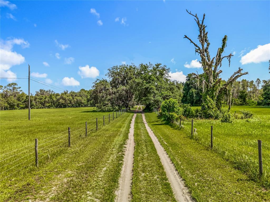 A dirt path leads through a grassy field toward a line of trees and a fence — 41204 EMERALDA ISLAND ROAD, LEESBURG, FL