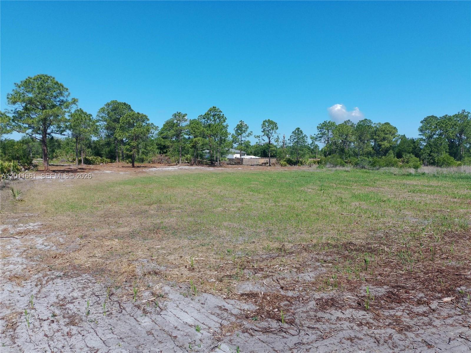 A large, flat, grassy vacant lot is surrounded by a line of pine trees — 540 S Zambria ST, Clewiston FL 33440, CLEWISTON, FL