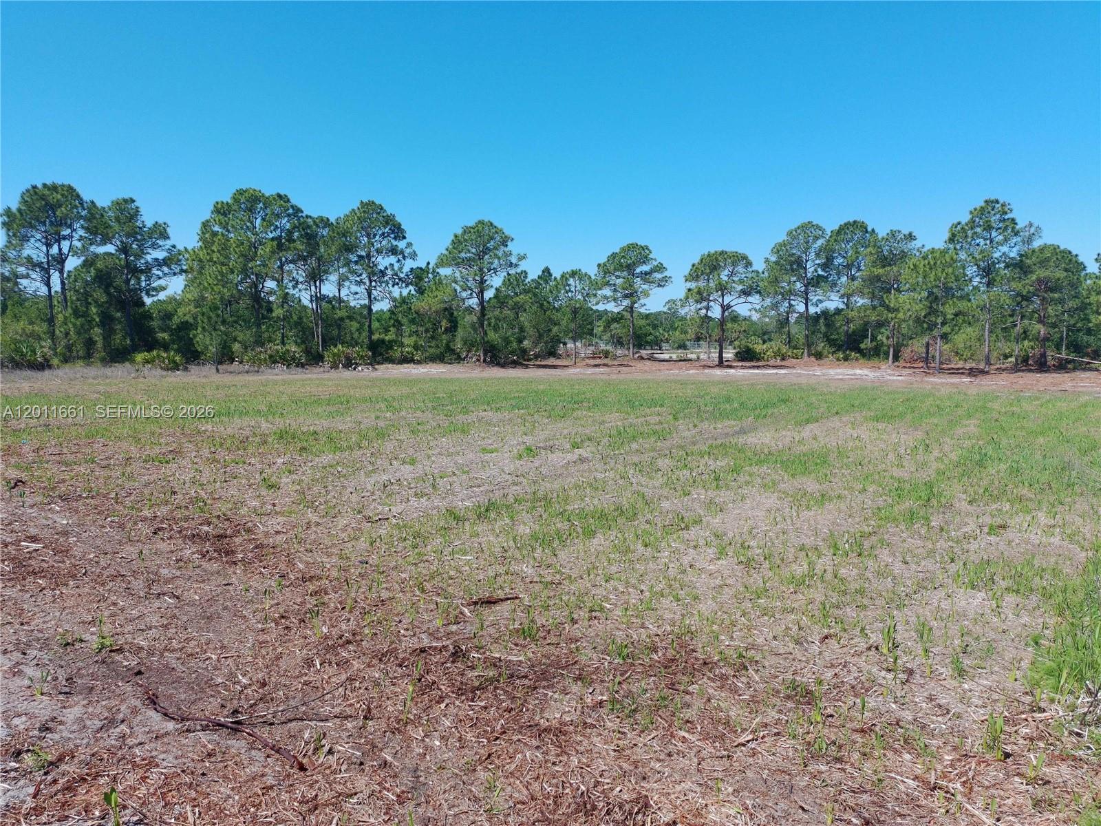 A wide, flat, grassy lot is bordered by a line of tall pine trees — 540 S Zambria ST, Clewiston FL 33440, CLEWISTON, FL