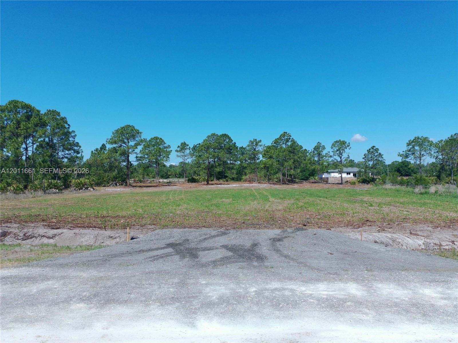 A gravel driveway leads to a large, cleared, grassy lot surrounded by pine trees — 540 S Zambria ST, Clewiston FL 33440, CLEWISTON, FL