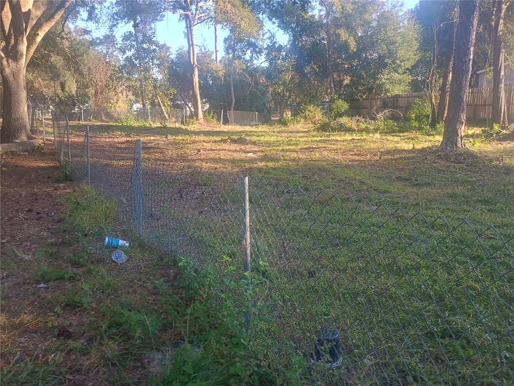 A chain-link fence encloses a grassy, partially wooded vacant lot with scattered trees — 27847 VEVA AVENUE, PAISLEY, FL