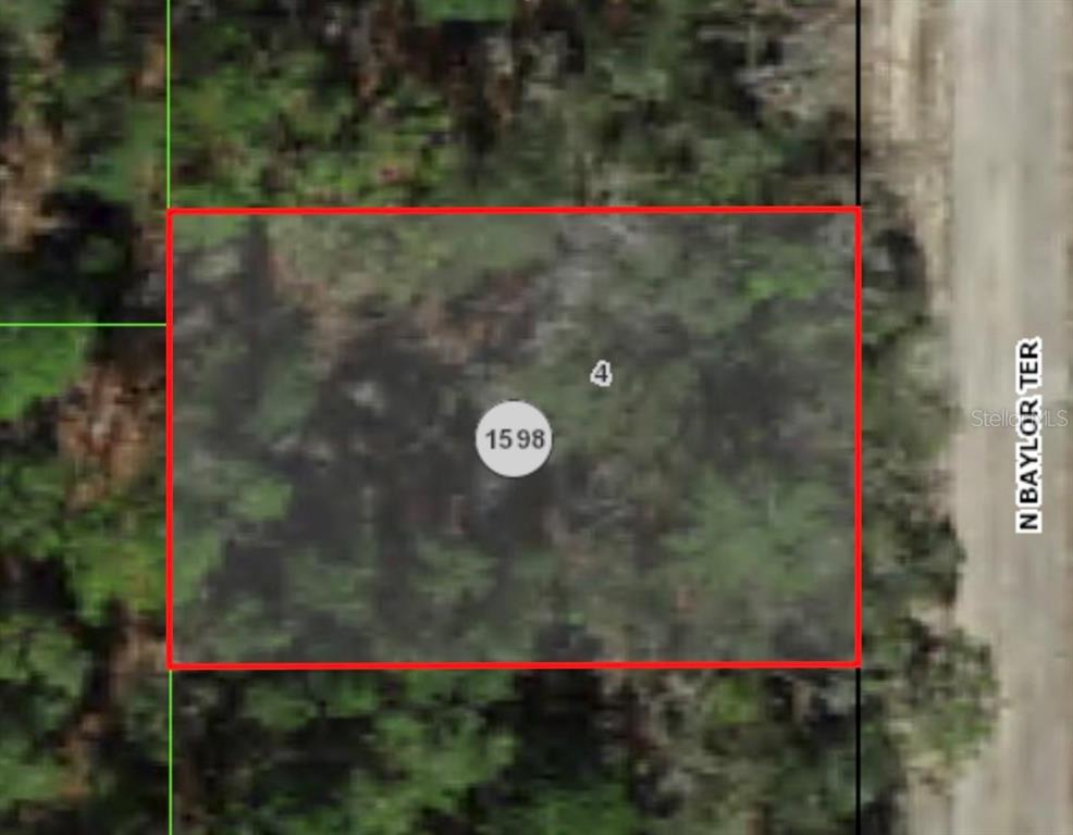 This is an aerial map showing a rectangular plot of land labeled with the number 1598 — 6492 N BAYLOR TERRACE, CITRUS SPRINGS, FL