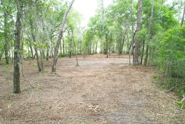 LOCUST RUN COURSE, OCALA, FL — photo 2 of 13