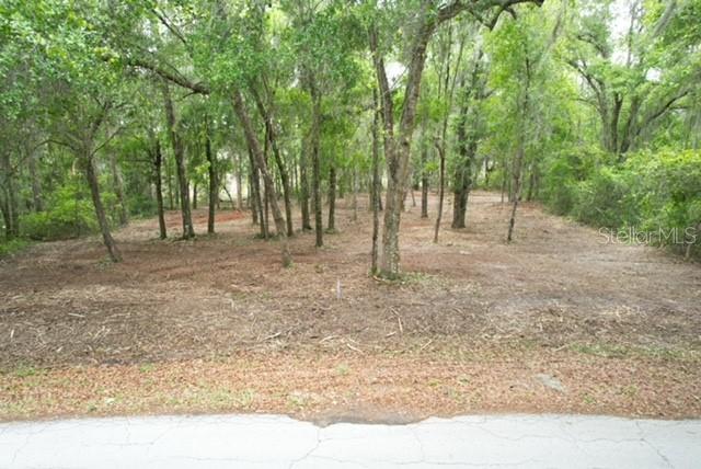 LOCUST RUN COURSE, OCALA, FL — photo 3 of 13